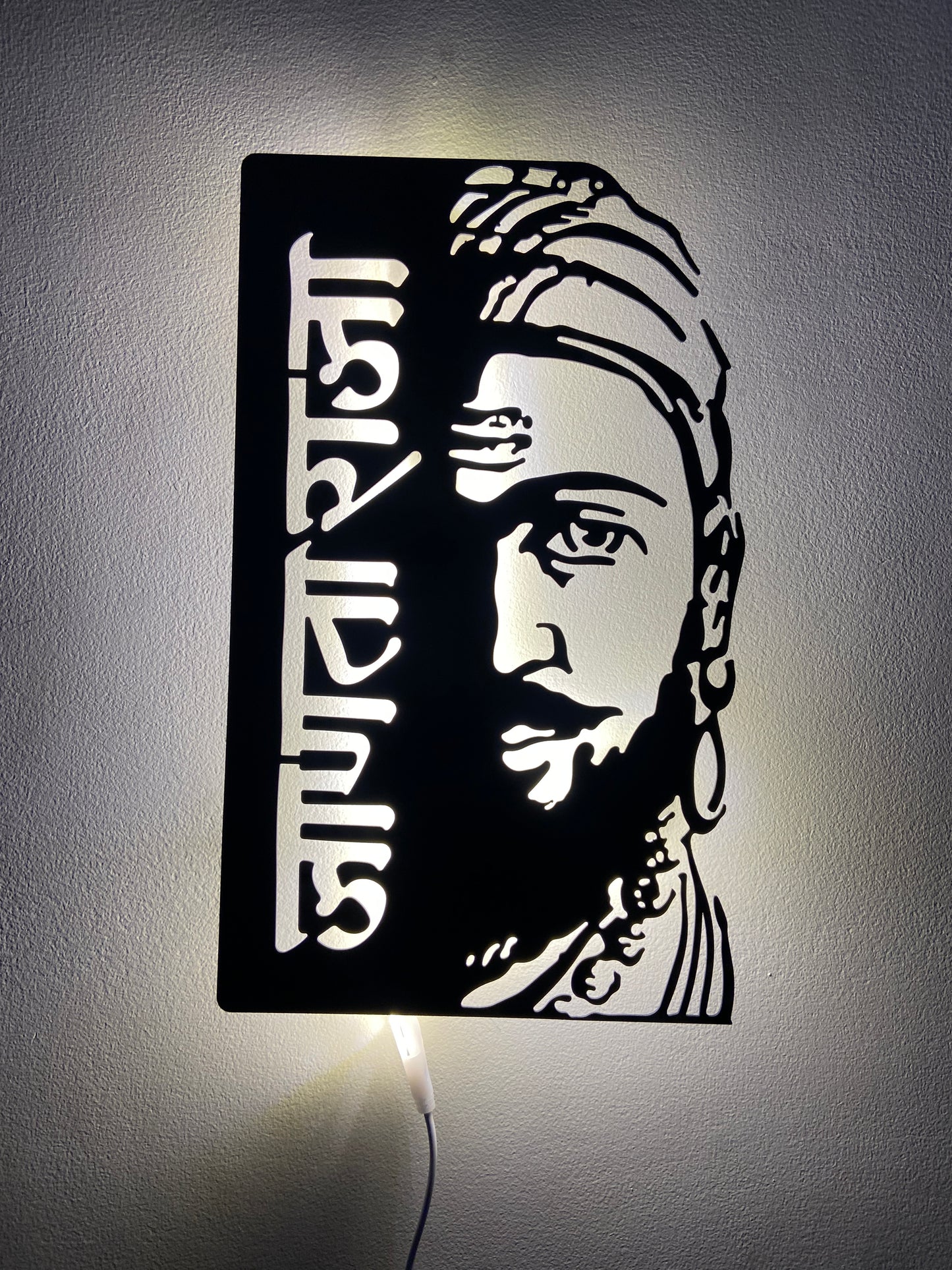 Janta Raja Shivaji Maharaj Metal Art With LED Light Frame