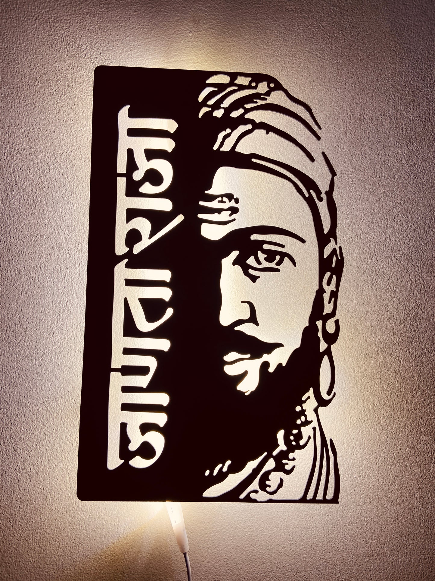 Janta Raja Shivaji Maharaj Metal Art With LED Light Frame